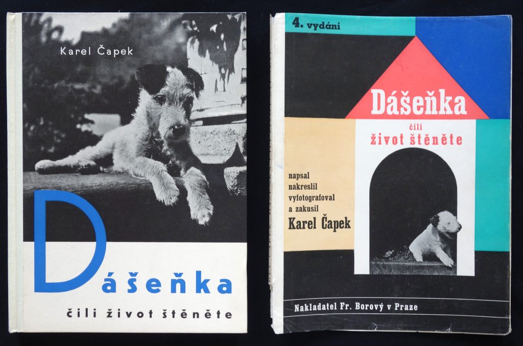 Children's photobook Dasenka