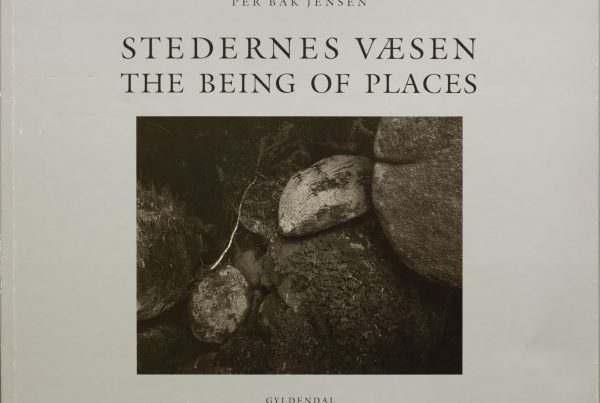 Per Bak Jensen, Stedernes Væsen (The Being of Places), 1993 . Photo: Per Bak Jensen
